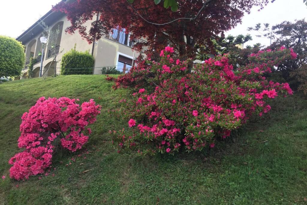 Ferienwohnung A Casa Di Sissi Biella Exterior foto